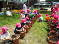  2024年おすすめのアイテム満載 5月12日(月) 尚絅大学附属こども園 | 種子や苗を植えました 語学・辞書・学習参考書